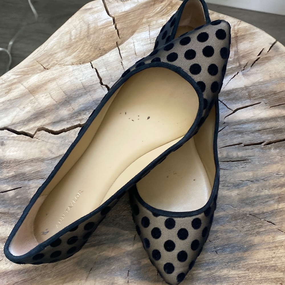 Ann Taylor mesh polka dot flats